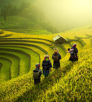 Culture and History